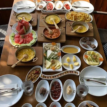 Aho 103 Dag Manzarali Bed & Breakfast Trabzon