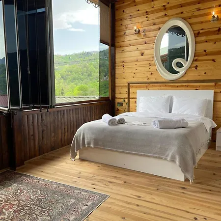 Aho 103 Dag Manzarali