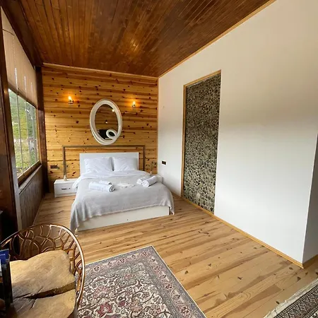 Aho 103 Dag Manzarali