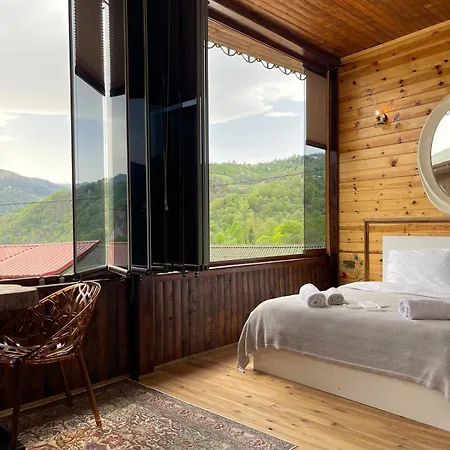 Aho 103 Dag Manzarali 3*