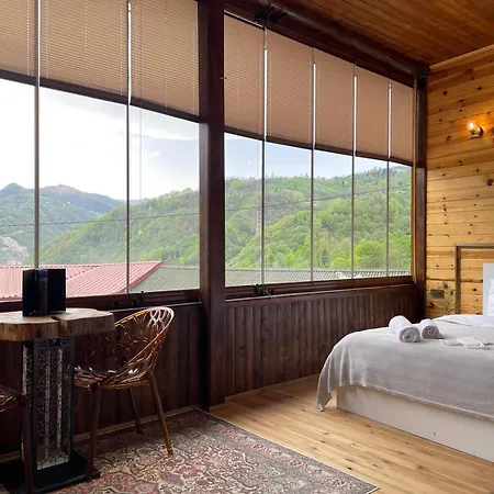 Aho 103 Dag Manzarali