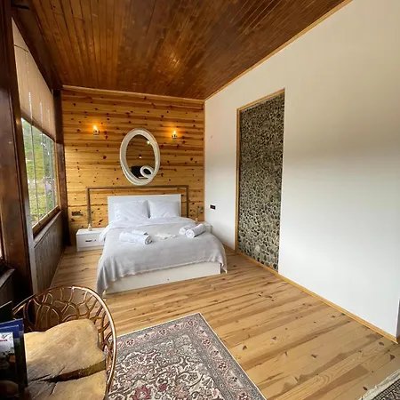 Aho 103 Dag Manzarali 3*