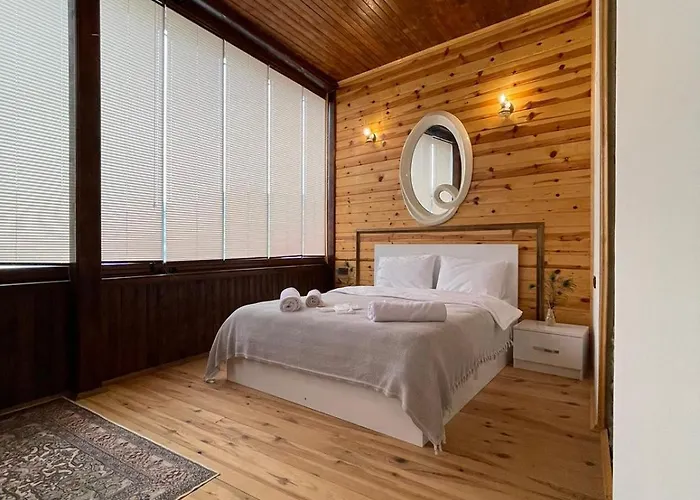 Aho 103 Dag Manzarali 3*