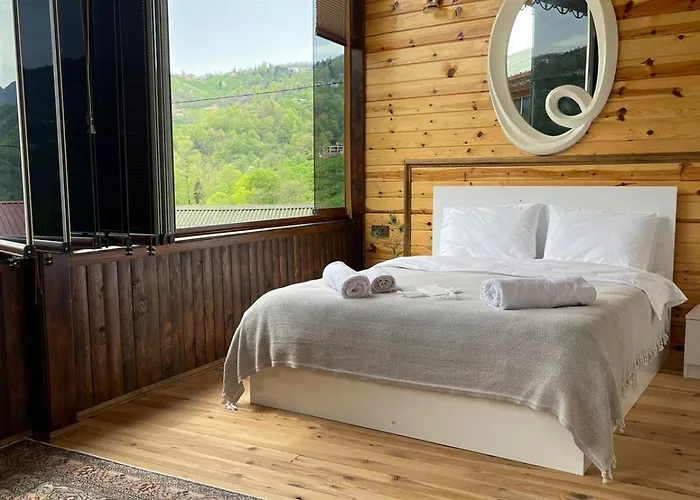 Aho 103 Dag Manzarali