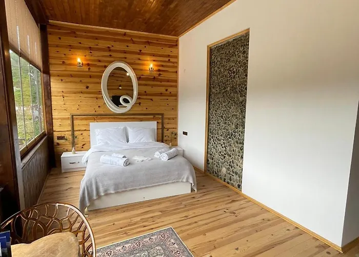 Aho 103 Dag Manzarali