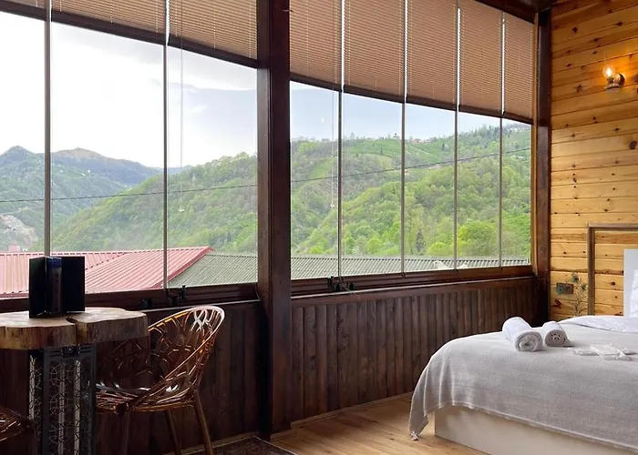 Aho 103 Dag Manzarali